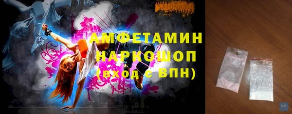 индика Себеж